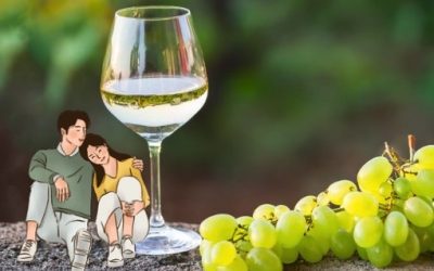 Muscadet sur « lit »